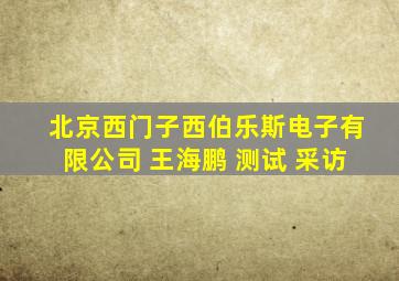 北京西门子西伯乐斯电子有限公司 王海鹏 测试 采访